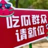 全网吃瓜/网红📄