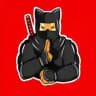 Shinobi portal