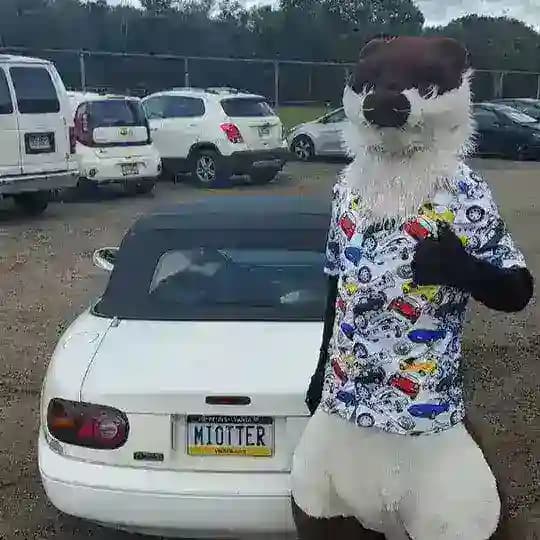 🏳️🌈🏁 Shitbox Society 🏁🏳️🌈