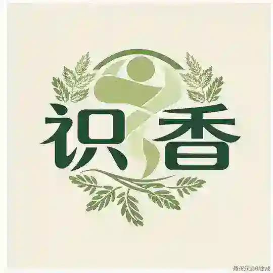 识香包养复活版004