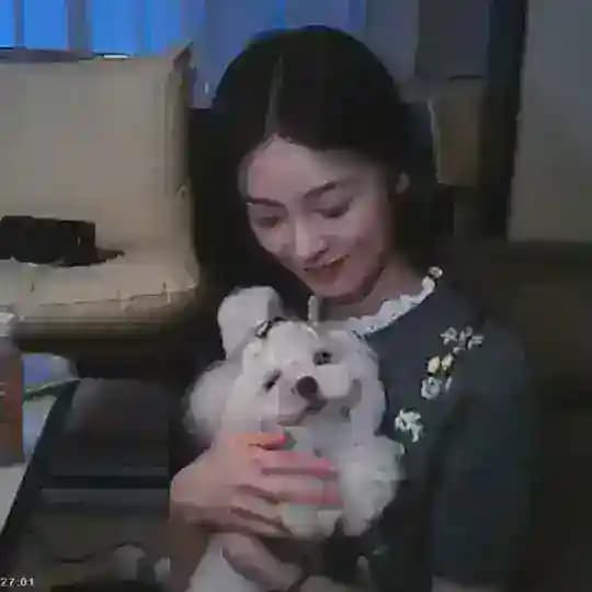 猫猫的窝🐱