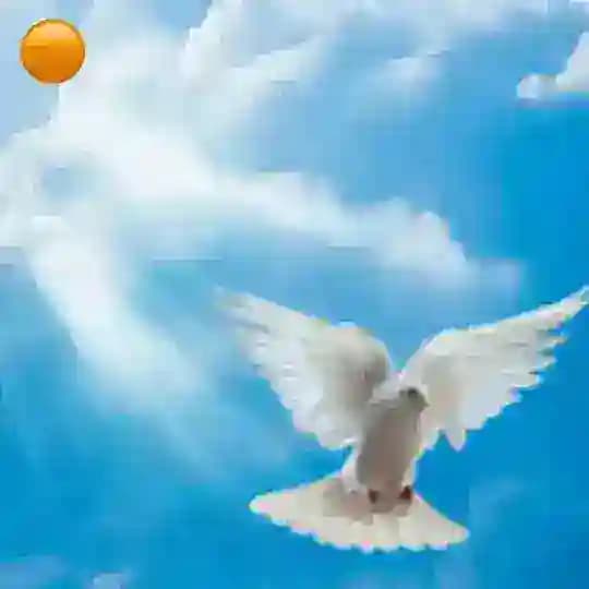 传真视讯~近看巨变时代