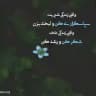 چله شکرگزاری ،قانون جذب،انگیزشی