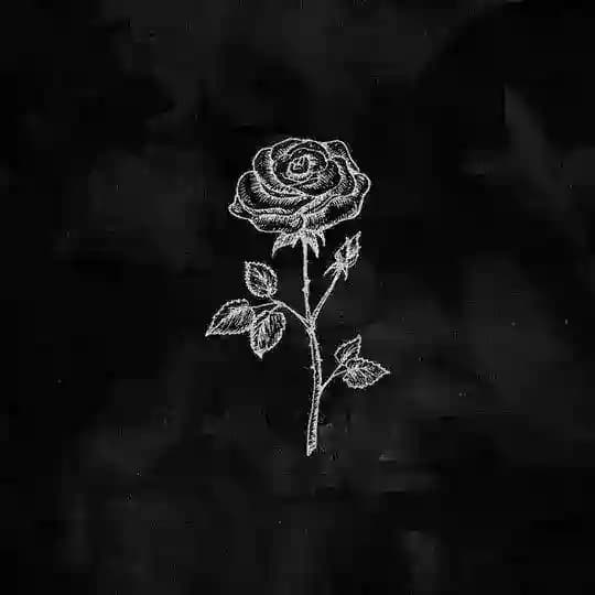 𝙈𝙈𝘼𝙏 • کالاف موبایل