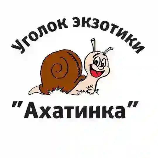 Уголок экзотики «Ахатинка»