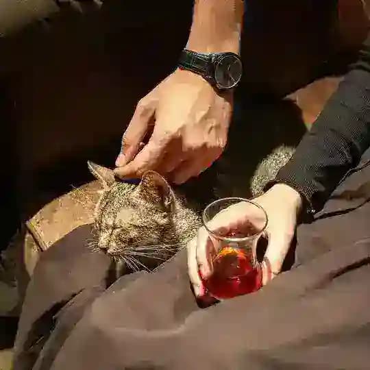 شَهد 💙
