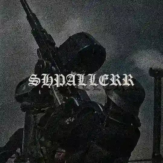 SHPALLERR переходник