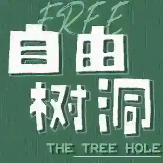 树洞导航