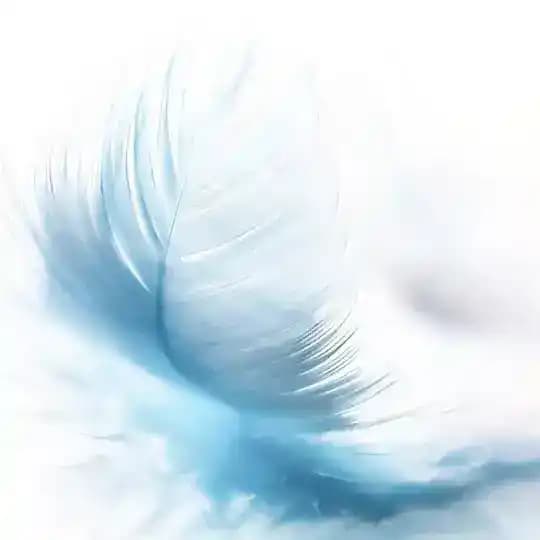 🌈海外数据 🔥全球资源»专业数据团队