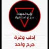 قناة شريح الحمصي