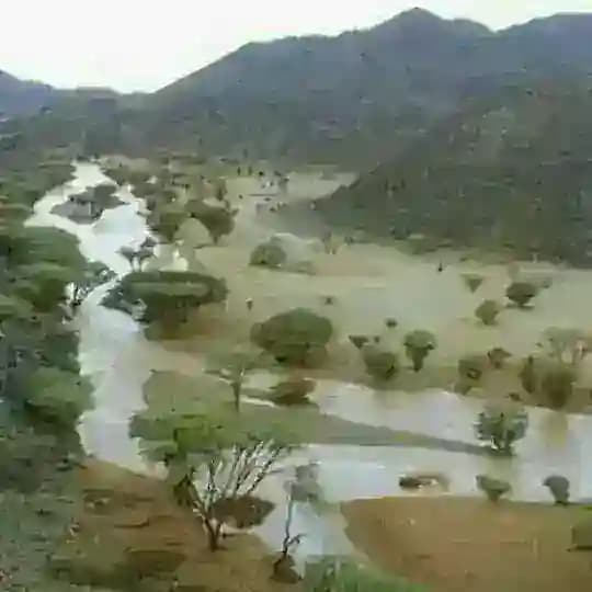 أبو تركي