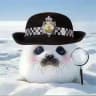 SEALWIFHAT($SI) VERIFY