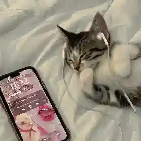 Идеальный ракурс ♡