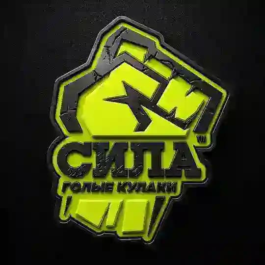 Сила