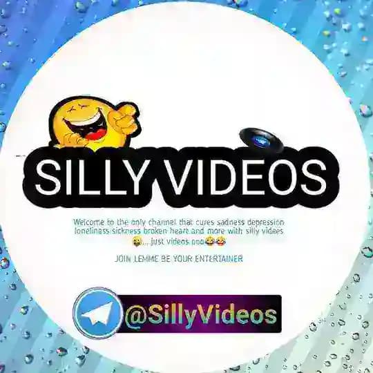 SILLY VIDEOS 😂😂
