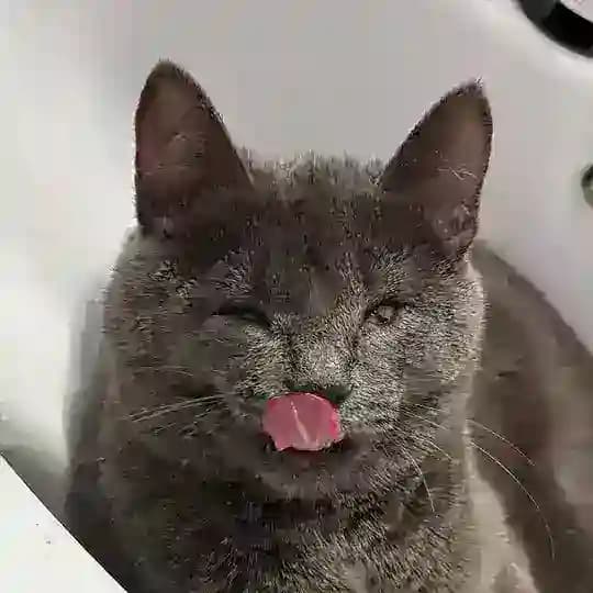 Симачька карзиначька