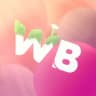 WB Simulator 📦