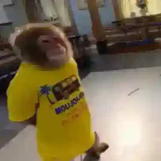 Kenan