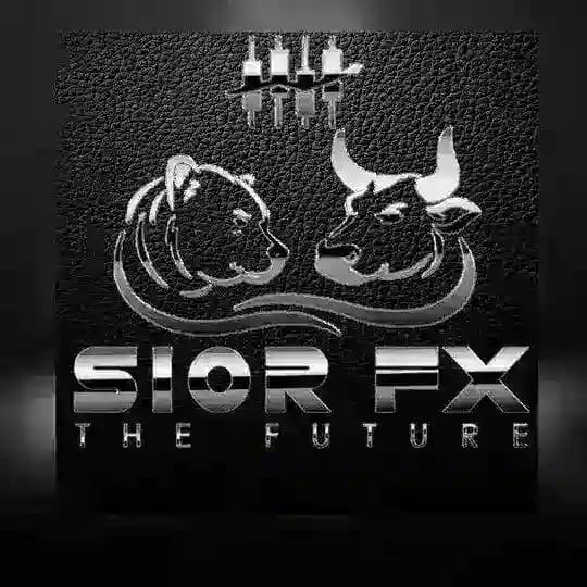 Sior FX Courses