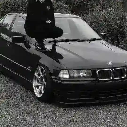 𝖘𝖎𝖗𝖑𝖔𝖎𝖓