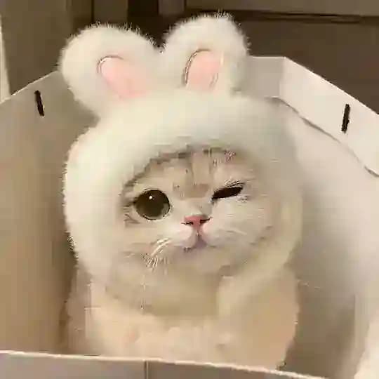 小思妹管家🎀🏩