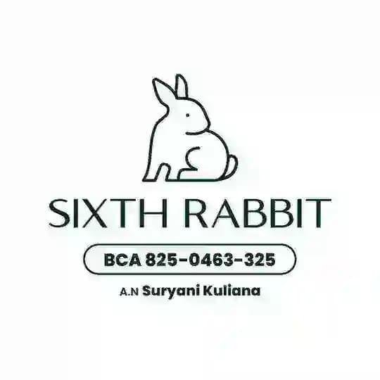 Sixth Rabbit π