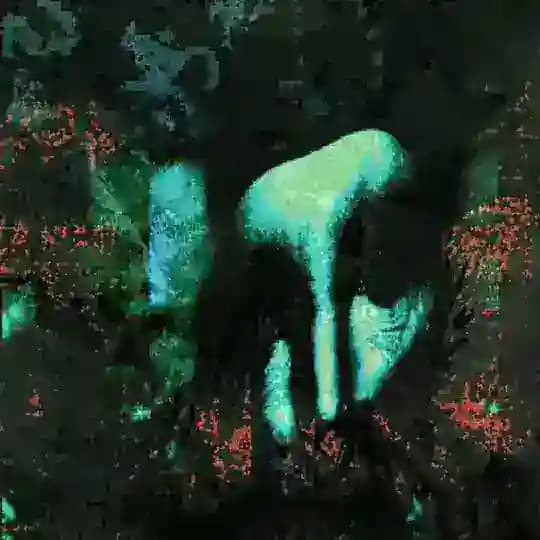 0891
