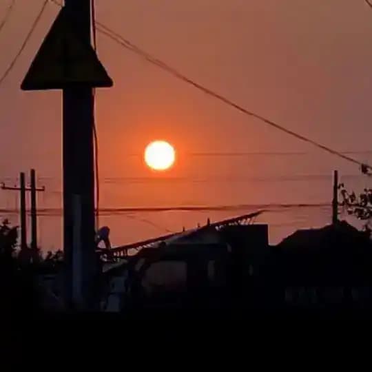 🔥神仙关注免费发布🔥