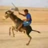 ضحايا الوجود