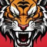 Tiger bhai 2
