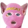 ski mask cat portal