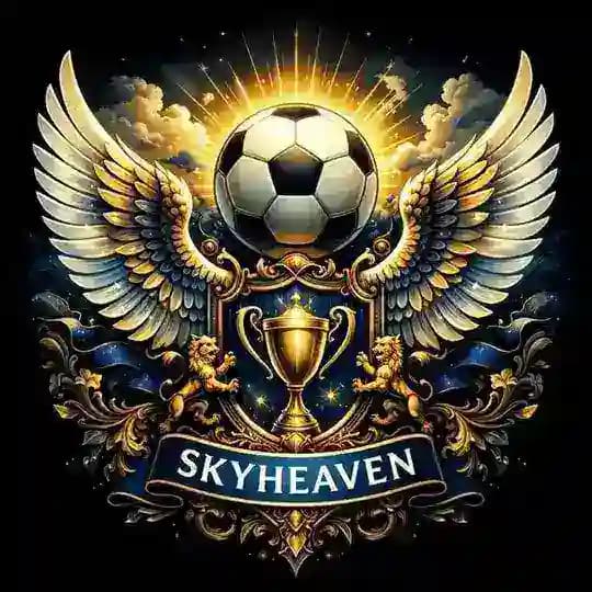 sᴋʏʜᴇᴀᴠᴇɴ Profile