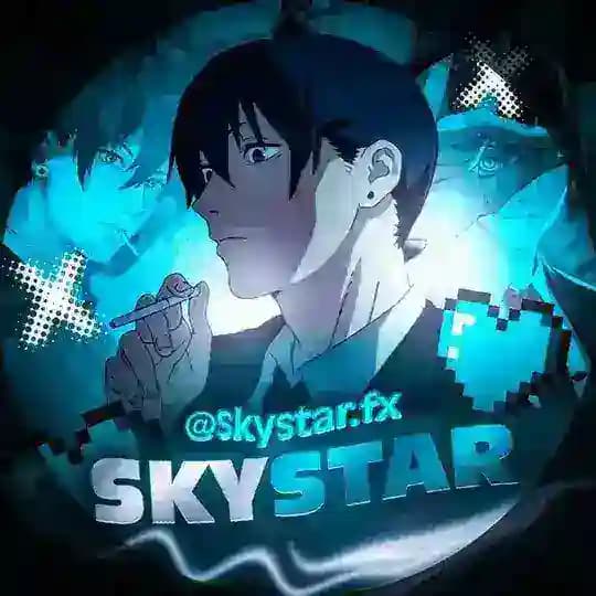 SKYSTAR MATERIAL Profile