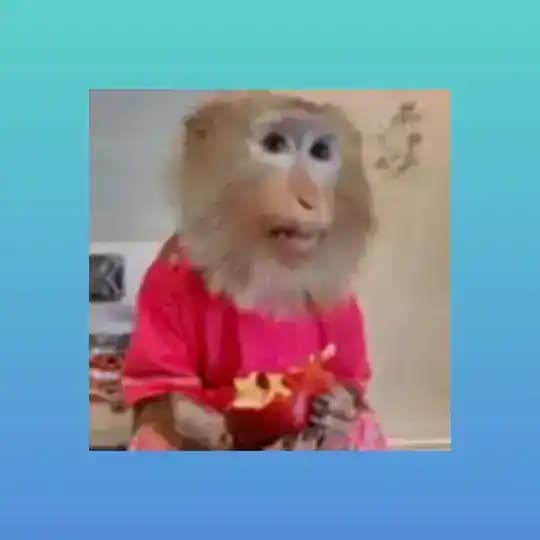 ๐๐๐๐๐๐