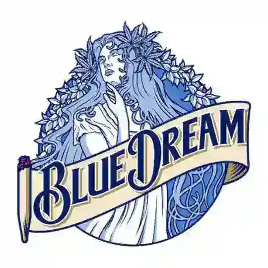 BLUE DREAM SLIV | Дампы ВК🦋