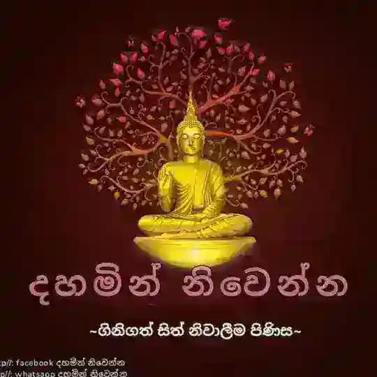 දහමින් නිවෙන්න Profile