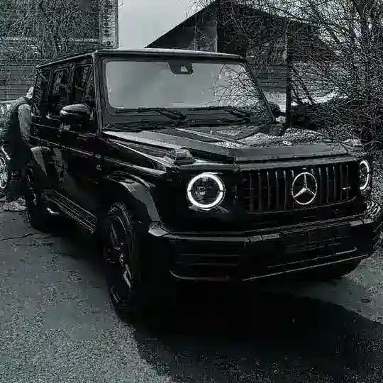 slx__sahrayebagh Profile