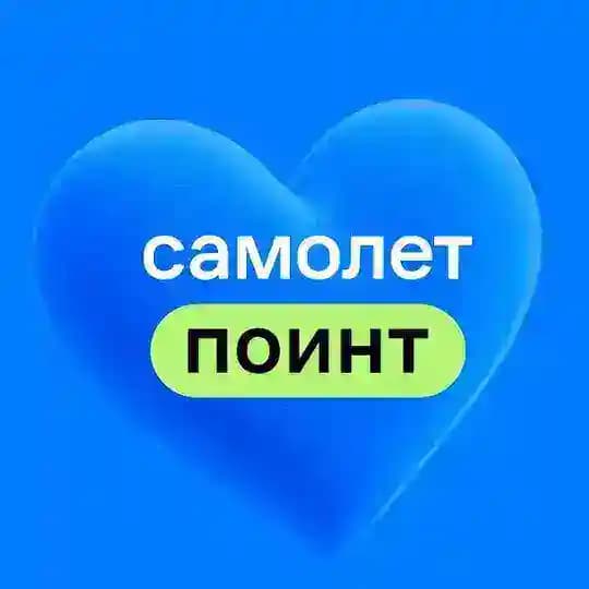 Самолет Поинт Спутник
