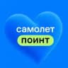 Самолет Поинт Спутник