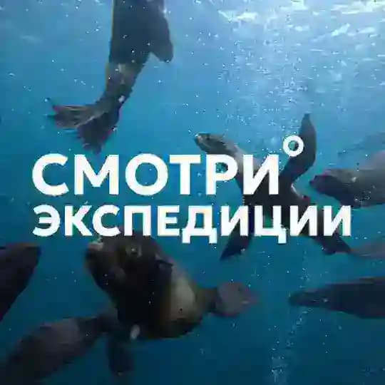 Смотри экспедиции