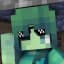 SMP’S CONFESSIONS
