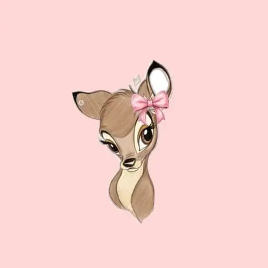 تمويل قنوات .