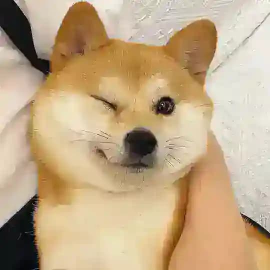 少年飞机杂货铺