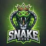 🐍 Snake Picks 🐍