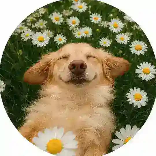 Добропёс