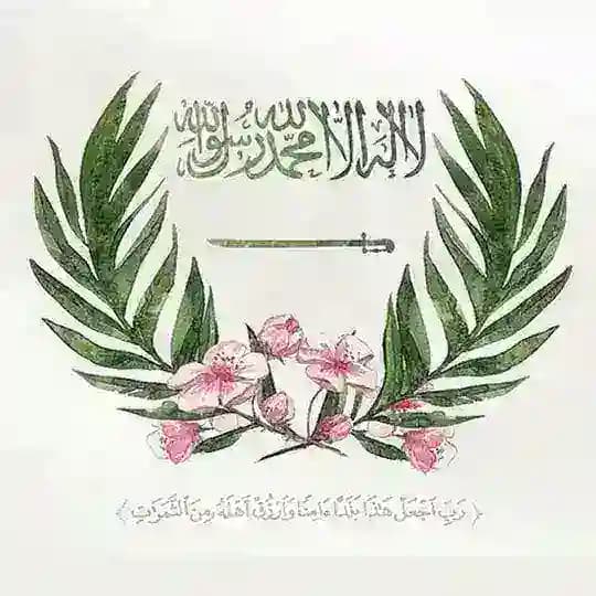 قناة أ. لُجين الحارثي - اجتماعيات 🌎