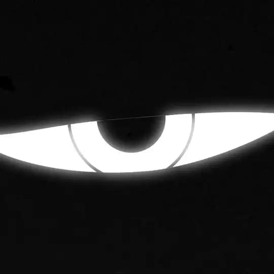 SocialVisor