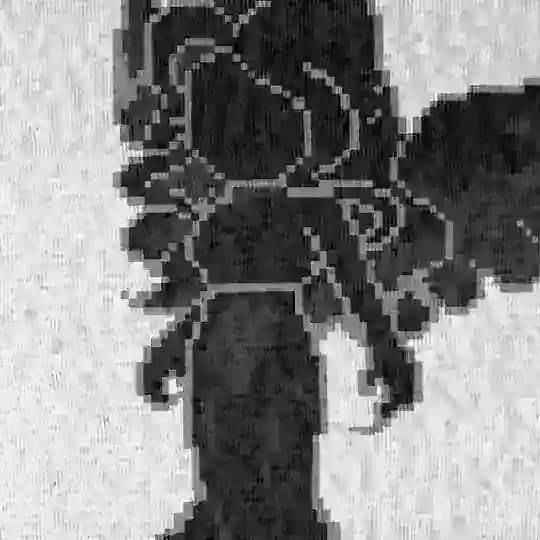 sockedbeatz loops