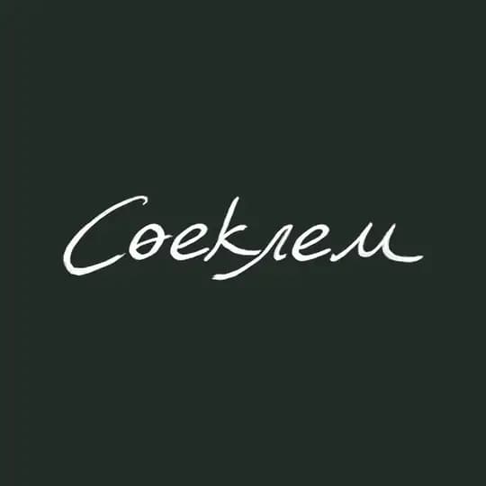 Студия «Сөеклем»