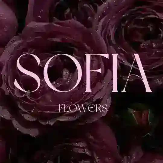 SOFIA